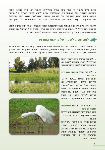 קובץ:Winter.pdf