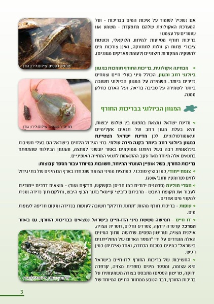 קובץ:Winter.pdf