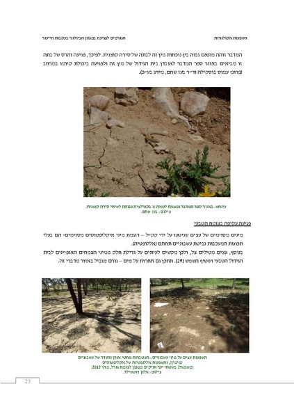 קובץ:Ecological ingluence.pdf