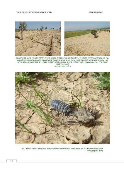 קובץ:Ecological ingluence.pdf