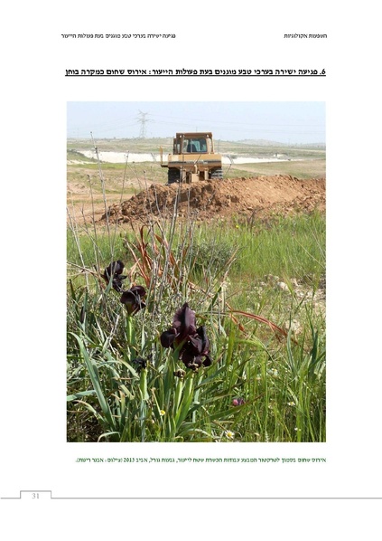 קובץ:Ecological ingluence.pdf