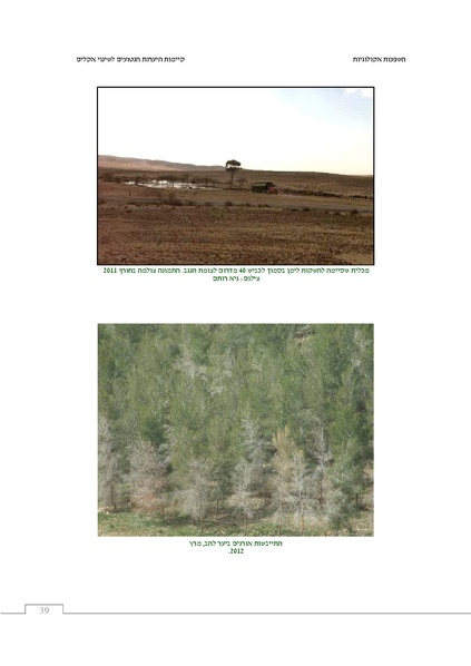 קובץ:Ecological ingluence.pdf