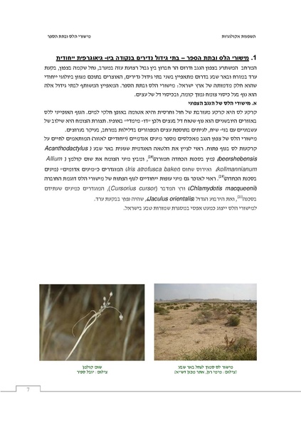 קובץ:Ecological ingluence.pdf