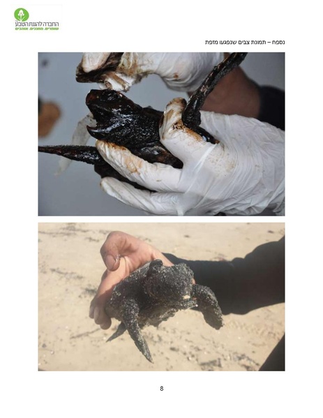 קובץ:HadrachBachof(1).pdf