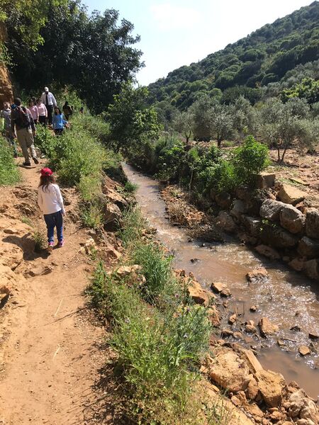 קובץ:Nachal zalmon sefi aharon(1).jpg