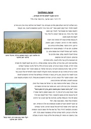 → לדף הקודם