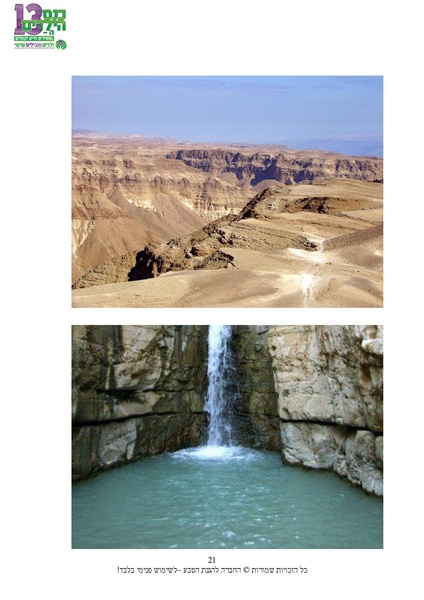 קובץ:Nechalim.pdf