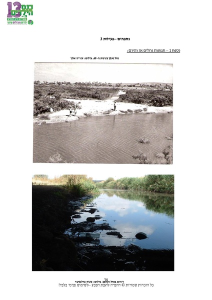 קובץ:Nechalim.pdf