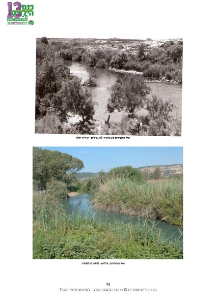 קובץ:Nechalim.pdf