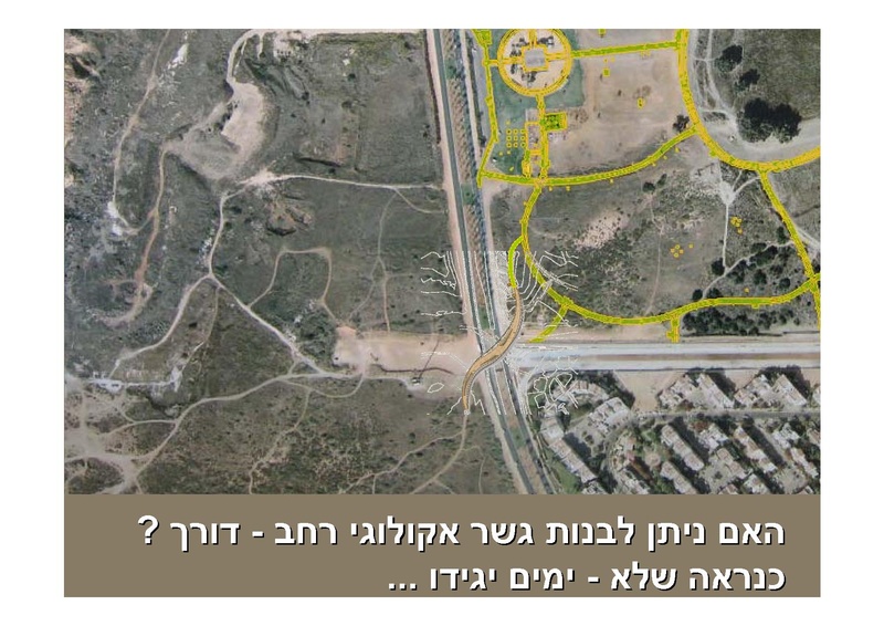 קובץ:PaulWeitel.pdf