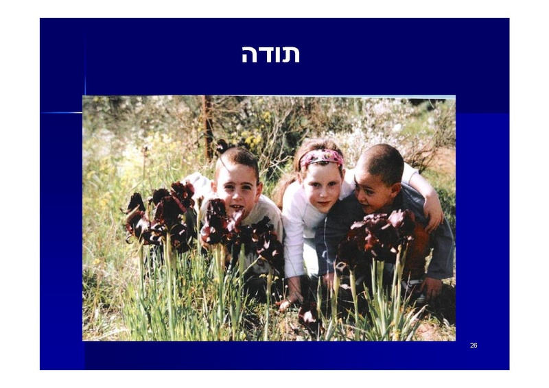קובץ:PaulWeitel.pdf