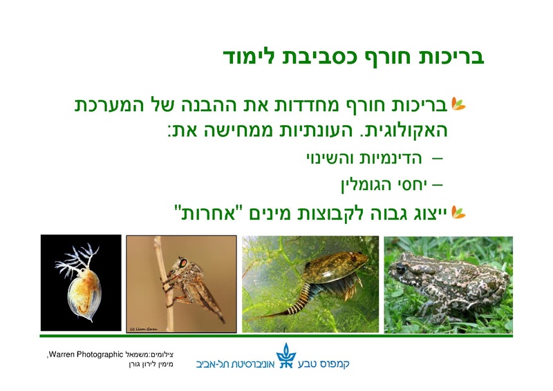 קובץ:Winter pools education.pdf