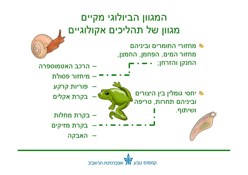 קובץ:Winter pools education.pdf