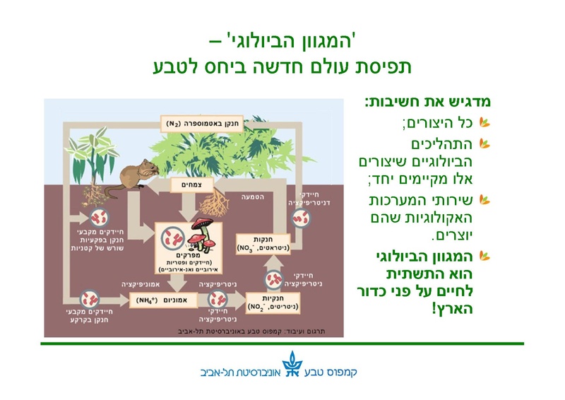 קובץ:Winter pools education.pdf