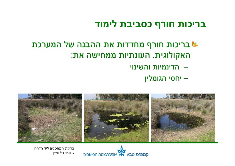 קובץ:Winter pools education.pdf