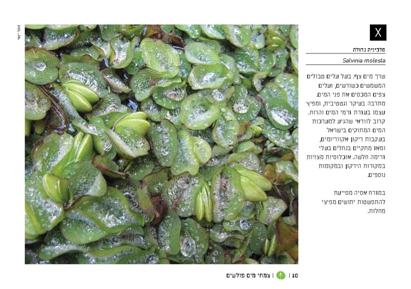 קובץ:TEV Water Plant LR(1).pdf