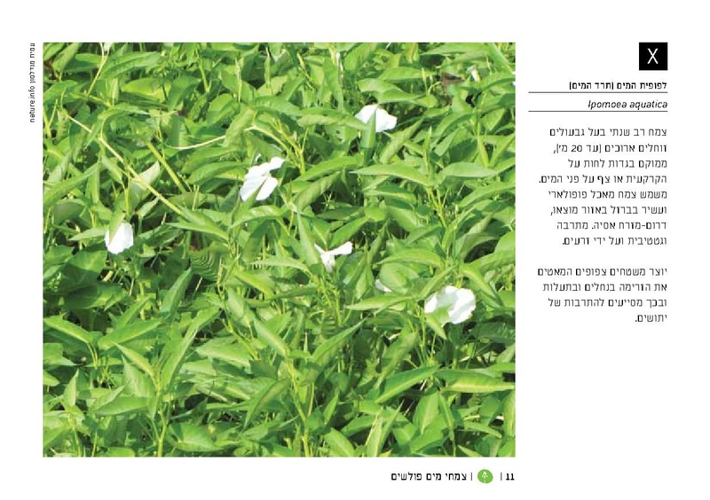 קובץ:TEV Water Plant LR(1).pdf