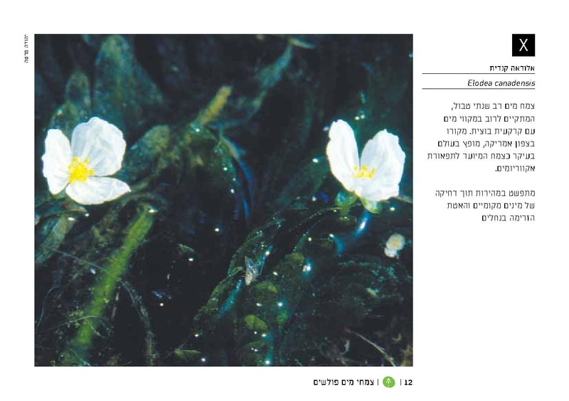 קובץ:TEV Water Plant LR(1).pdf