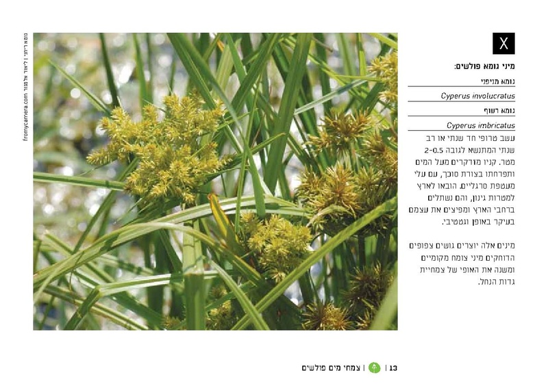 קובץ:TEV Water Plant LR(1).pdf