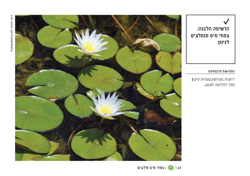 קובץ:TEV Water Plant LR(1).pdf