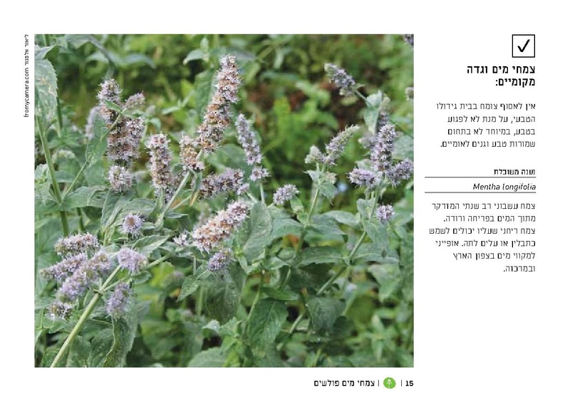 קובץ:TEV Water Plant LR(1).pdf