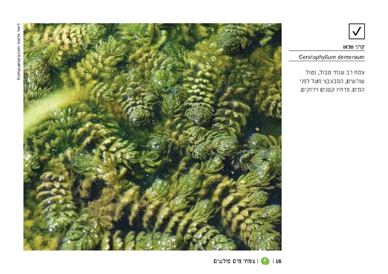 קובץ:TEV Water Plant LR(1).pdf