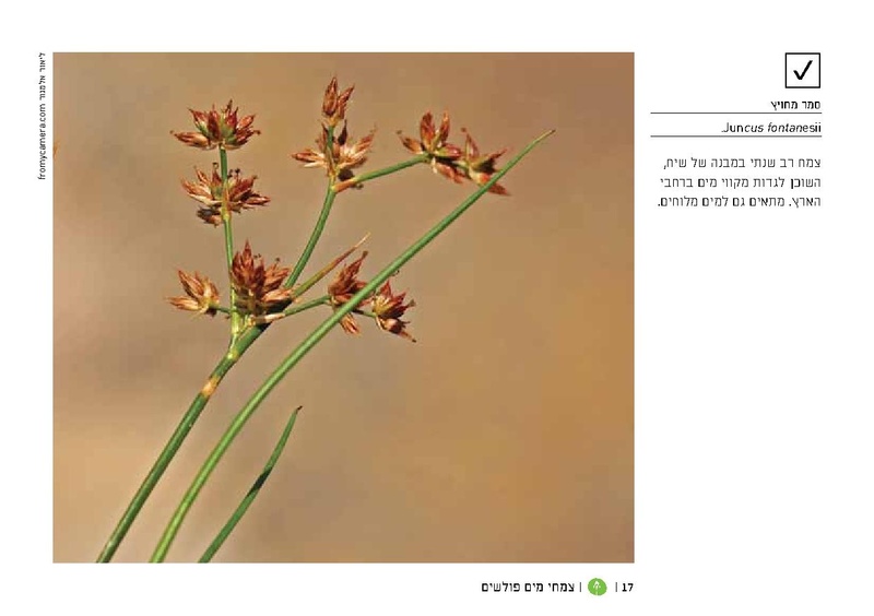 קובץ:TEV Water Plant LR(1).pdf