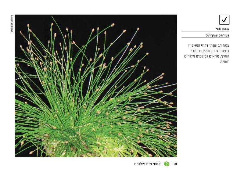 קובץ:TEV Water Plant LR(1).pdf