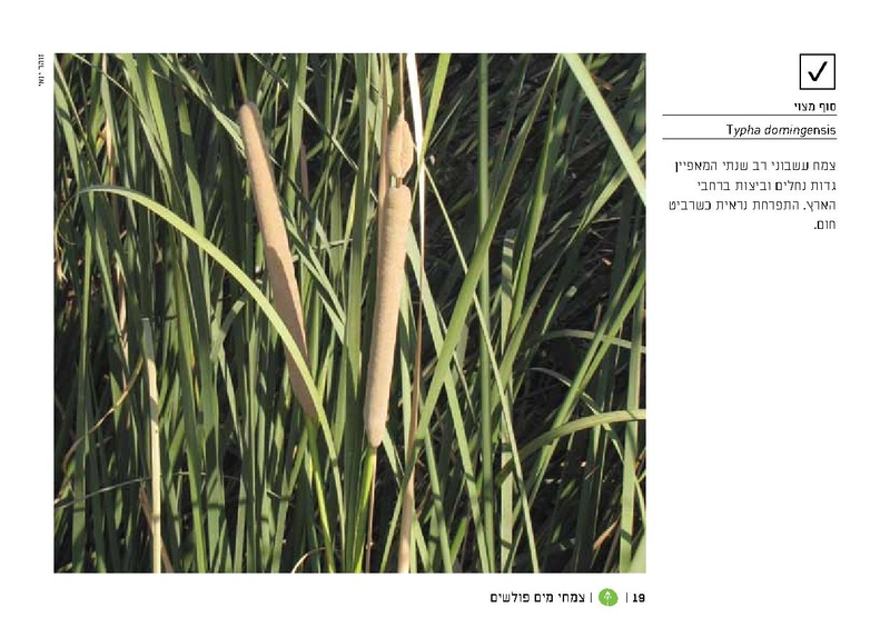 קובץ:TEV Water Plant LR(1).pdf