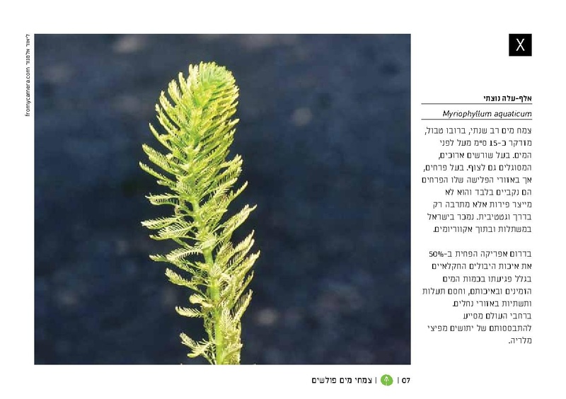 קובץ:TEV Water Plant LR(1).pdf