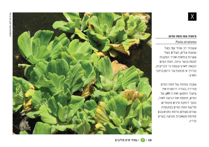 קובץ:TEV Water Plant LR(1).pdf