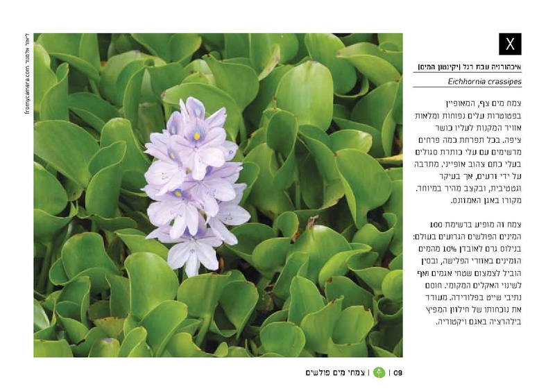 קובץ:TEV Water Plant LR(1).pdf