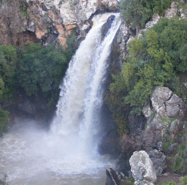 קובץ:Mapal saar eti ben shimon(4).jpg