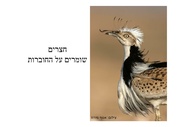 → לדף הקודם