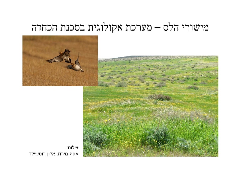 קובץ:Pre(1).pdf