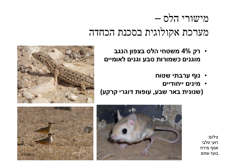 קובץ:Pre(1).pdf