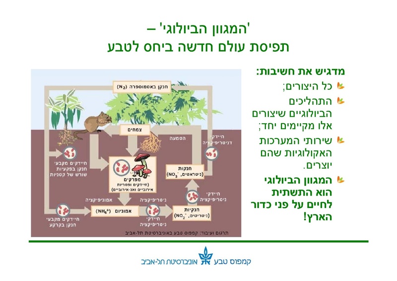 קובץ:Winterpoolseducation10210-2.pdf