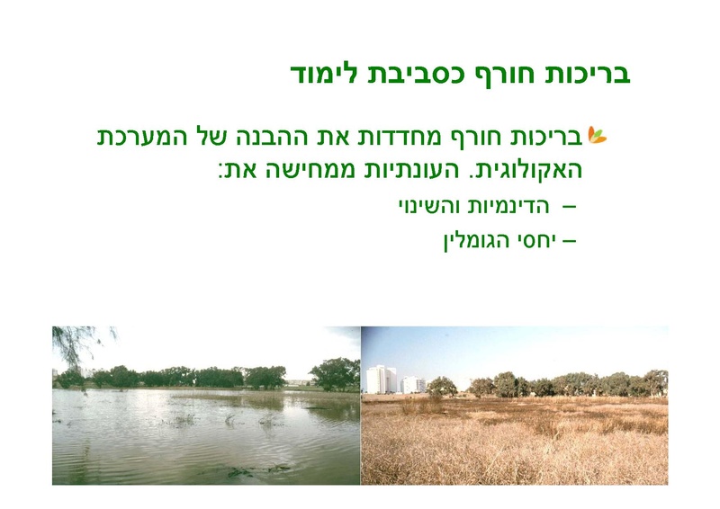קובץ:Winterpoolseducation10210-2.pdf