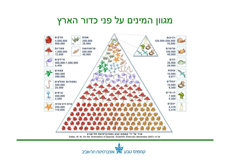 קובץ:Winterpoolseducation10210-2.pdf