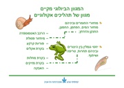 לדף הבא ←