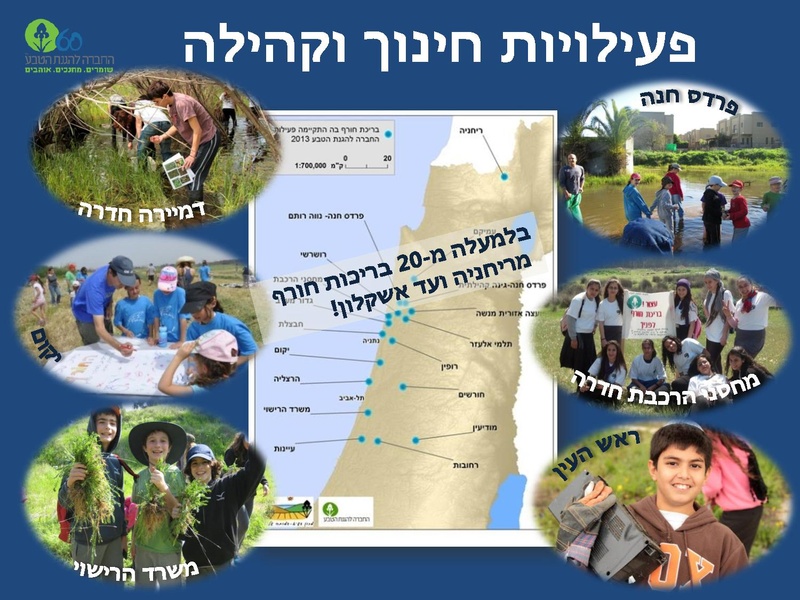 קובץ:Winterpoolsproject.pdf