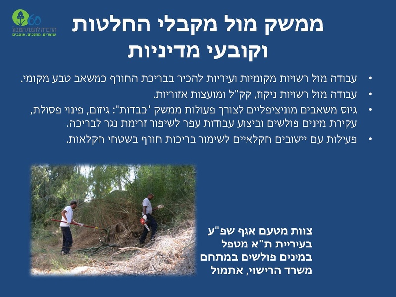 קובץ:Winterpoolsproject.pdf