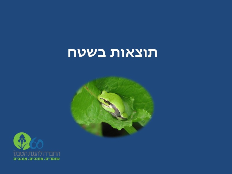 קובץ:Winterpoolsproject.pdf
