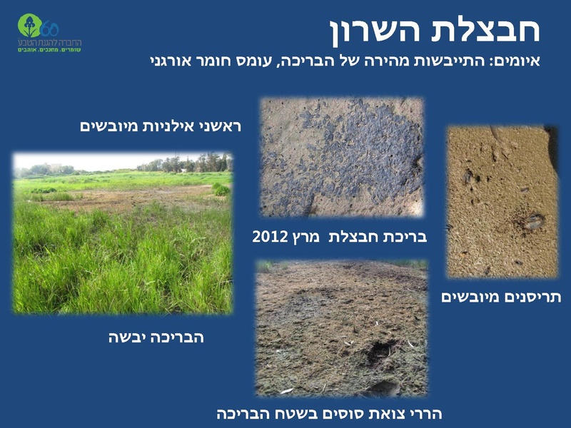 קובץ:Winterpoolsproject.pdf