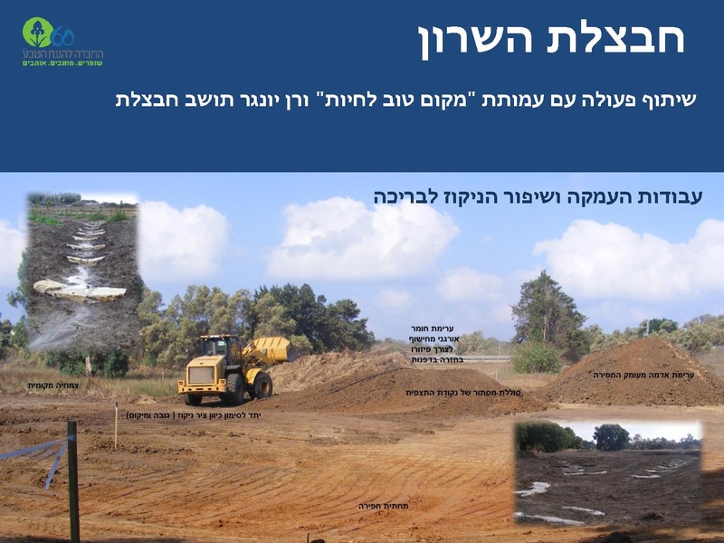 קובץ:Winterpoolsproject.pdf