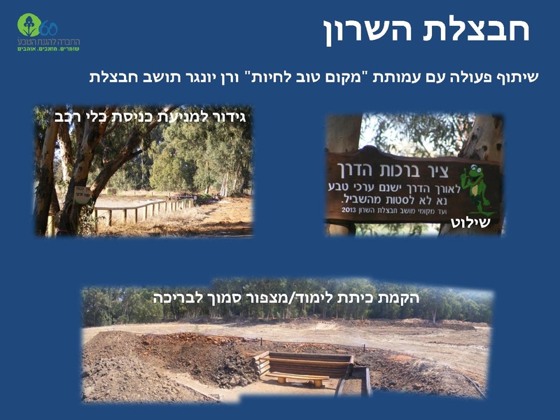 קובץ:Winterpoolsproject.pdf
