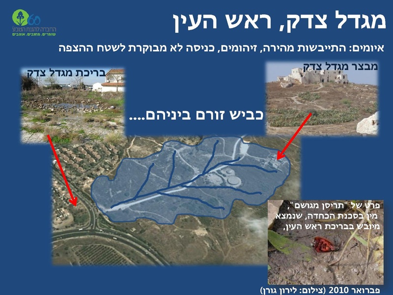קובץ:Winterpoolsproject.pdf