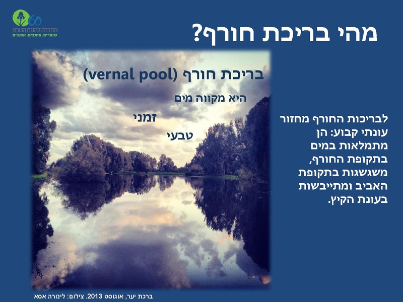 קובץ:Winterpoolsproject.pdf