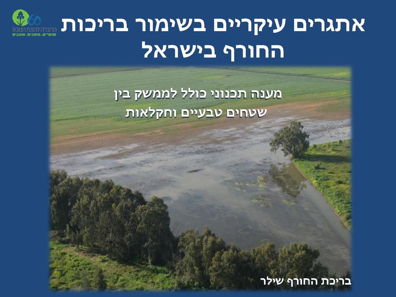 קובץ:Winterpoolsproject.pdf