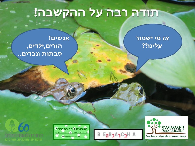 קובץ:Winterpoolsproject.pdf